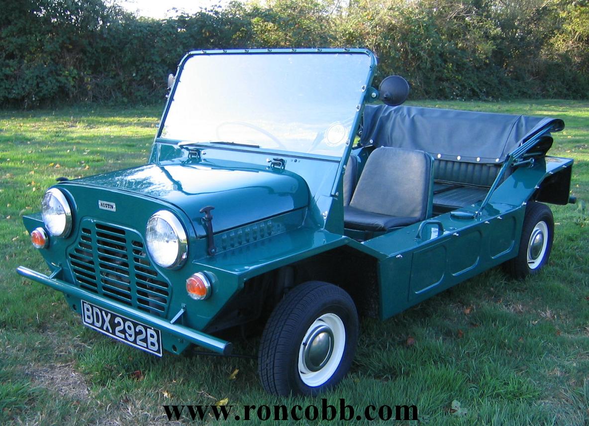 moke3LOGO.JPG - 191166 Bytes